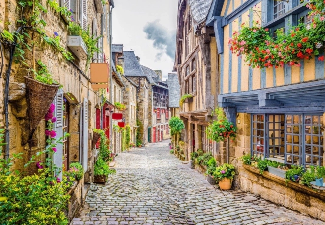 Puzzle Vieille Ville 1000 Pièces