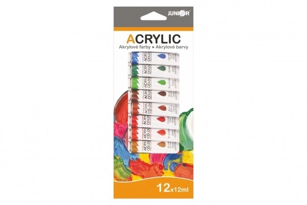 Set de peintures acryliques 12 pcs