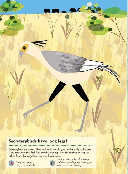 Livre d'activités avec autocollants - Animaux de la savane