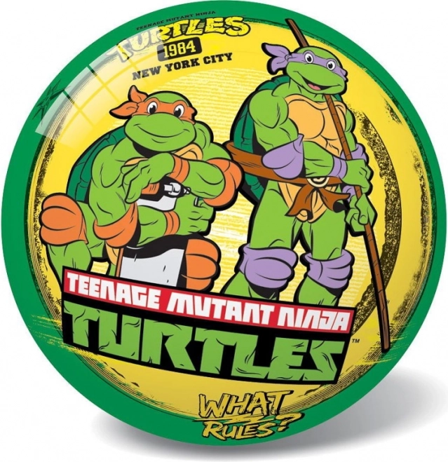 Balle Rétro Tortues