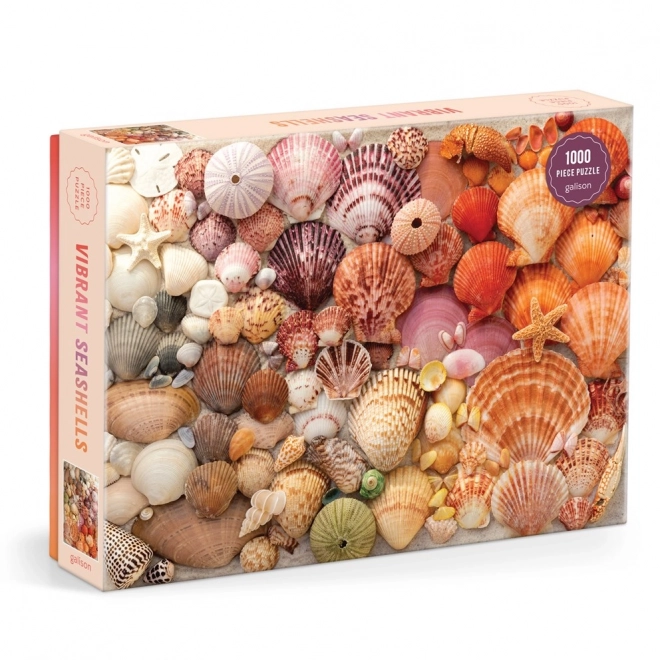 Puzzle Coquillages Éclatants 1000 pièces