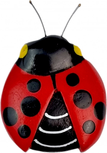 Magnette en bois coccinelle 2Kids Toys
