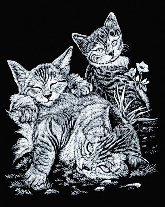 ROYAL & LANGNICKEL Images à gratter en bloc Petits Animaux