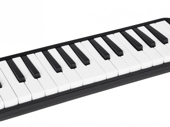 Mélodica avec clavier et étui