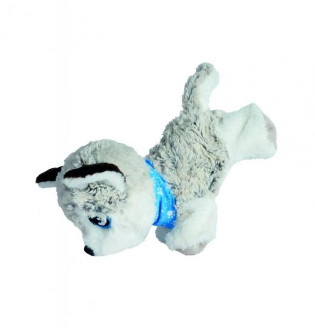 Simba Chi Chi Love chien interactif Husky