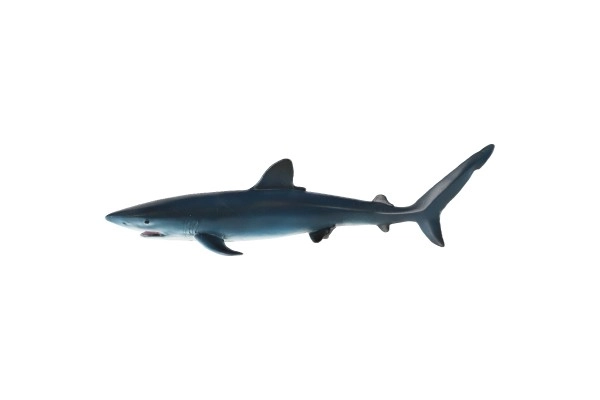 Requin bleu plastique zooté 15 cm dans un sac