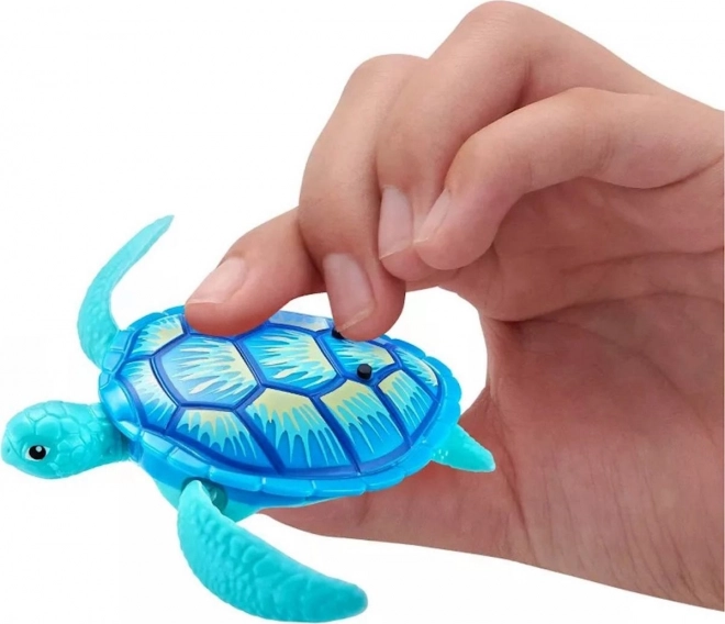 Robo vivant tortue