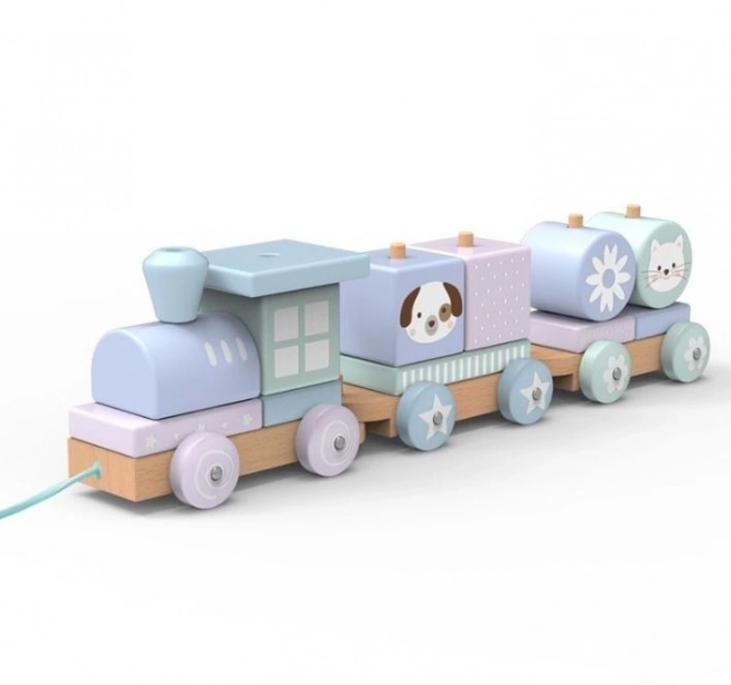 Blocs de train en bois pastel avec animaux