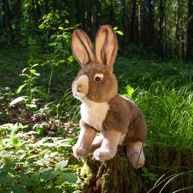 Lapin en peluche 30 cm ÉCOLOGIQUE