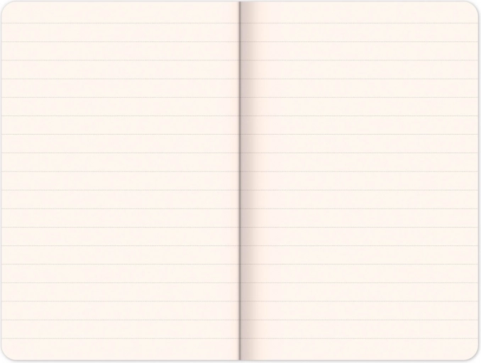 Papier ligné de qualité 100 g/m²