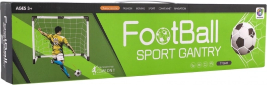 But de football pour enfants avec ballon et pompe