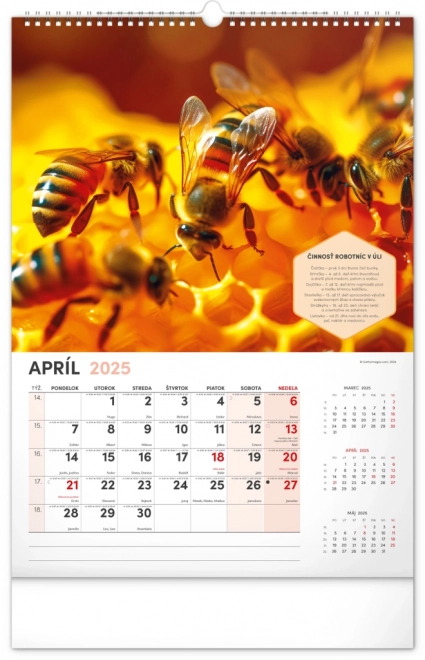 Calendrier mural NOTIQUE Apiculture 2025, 33 x 46 cm