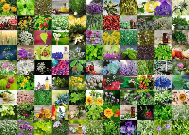 Puzzle RAVENSBURGER 1000 pièces 99 herbes