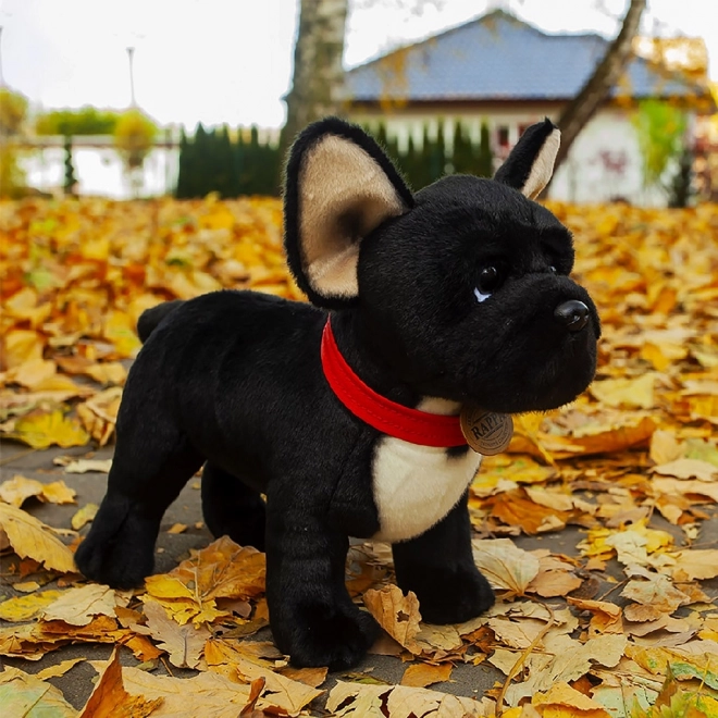 Bouledogue français en peluche noir avec collier debout 30 cm ECO-FRIENDLY