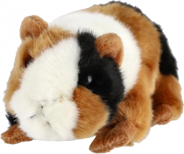 Coloris tricolore réaliste