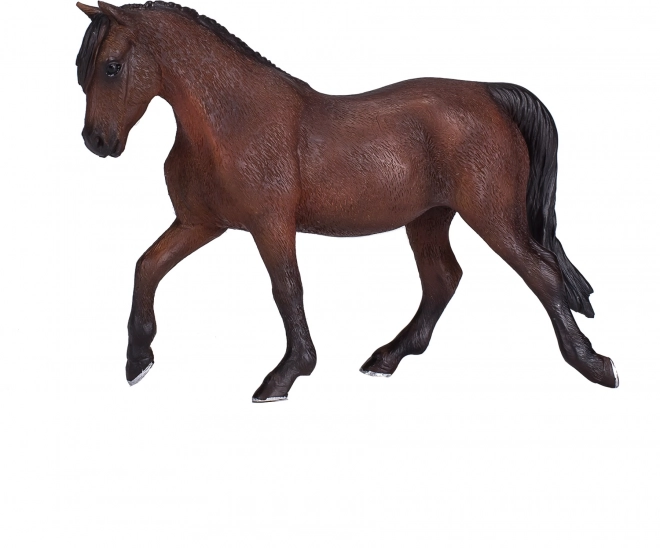 Cheval Morgan Palomino