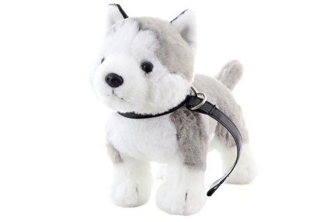 Husky en peluche avec laisse
