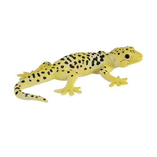 Mojo Gecko Léopard