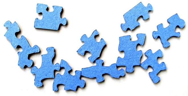 COBBLE HILL Puzzle Leurres de pêche 1000 pièces