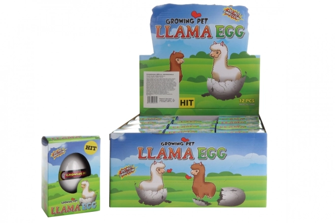 Œuf de Lama 12/pqt