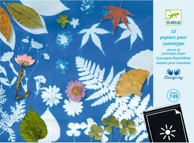 Ensemble de papiers photosensibles DJECO