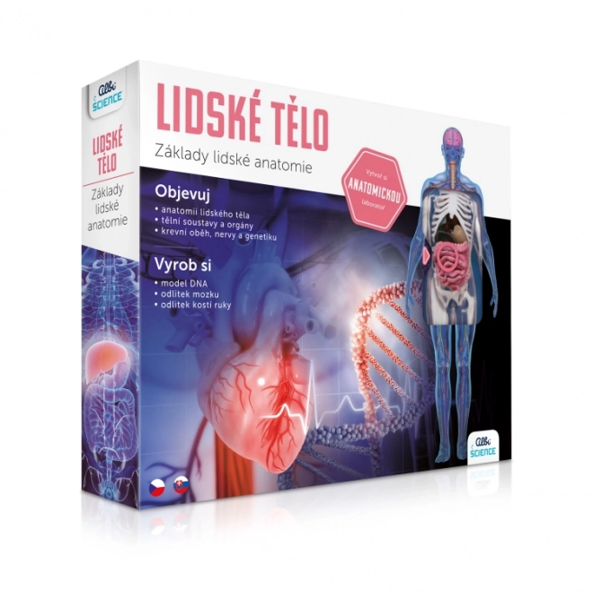 Guide de l'anatomie pour les enfants
