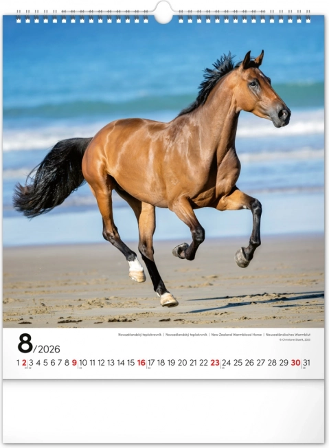 Calendrier mural Chevaux 2026