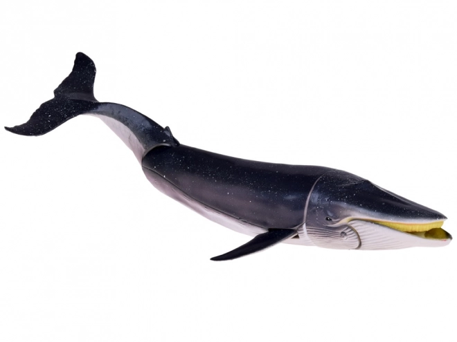 Ensemble de figurines d'animaux marins