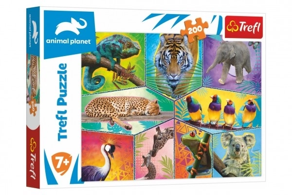 Puzzle Planète des Animaux 48x34cm 200 pièces dans une boîte 33x23x4cm