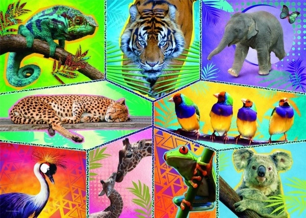 Puzzle Planète des animaux