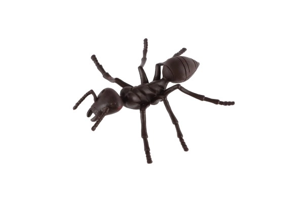 Modèles réalistes d'insectes en plastique