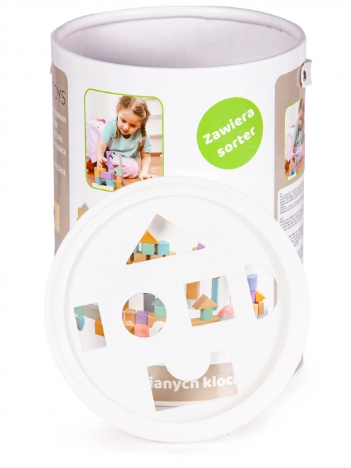 Blocs en bois 100 pcs dans un seau avec trieur Ecotoys