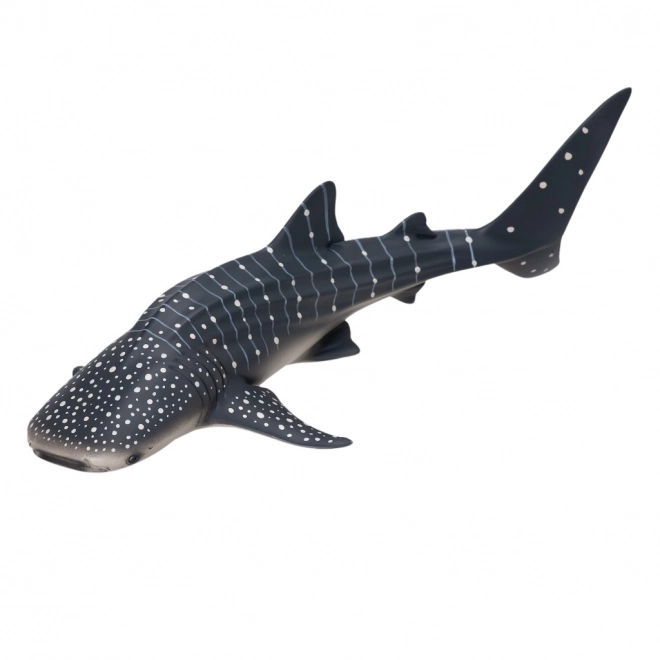 Mojo Requin baleine