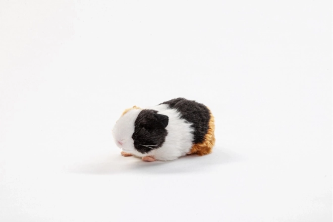 Cochon d'Inde Peluche 21 cm - ÉCOLOGIQUE