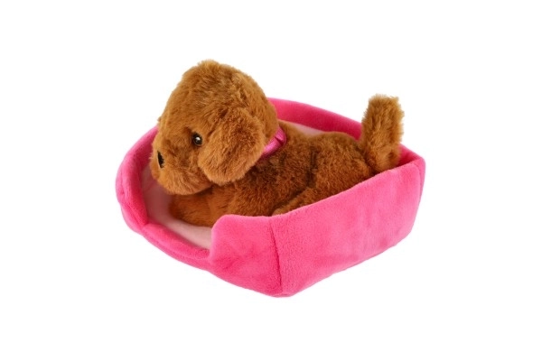 Petit animal chien dans son panier peluche 4 couleurs 22x24cm 24m+
