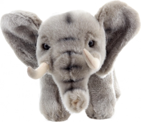 Matériaux écologiques