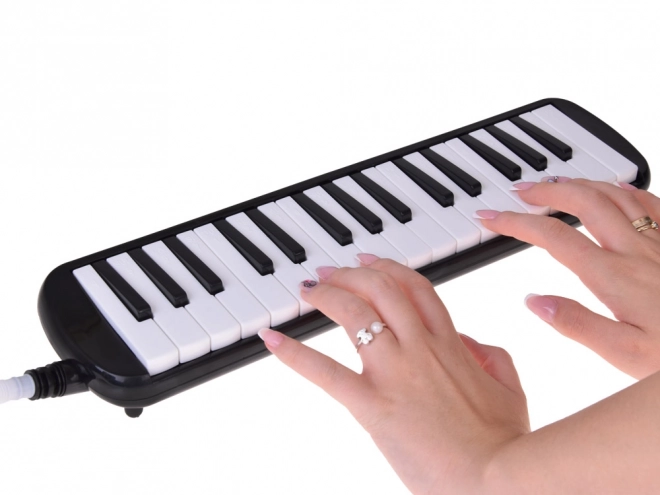 Mélodica avec clavier et étui