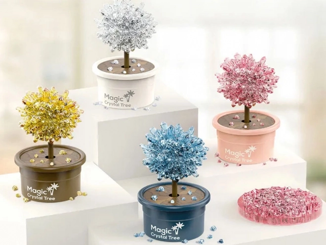 Kit de culture de cristaux - Arbre de la chance