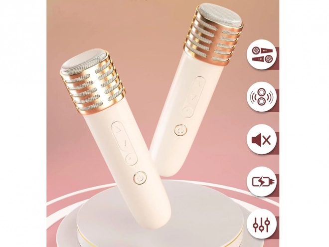 Microphone avec haut-parleur sans fil et Bluetooth