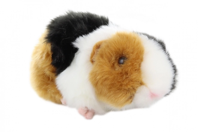 Cochon d'Inde Peluche 21 cm - ÉCOLOGIQUE