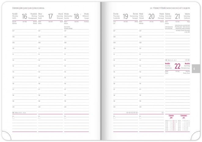 AGENDA Hebdomadaire Ajax 2025, vert, 15 x 21 cm