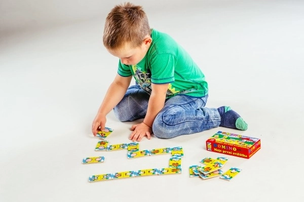 Domino Mes premiers animaux bois jeu de société 28pcs en boîte 17x9x3,5cm MPZ