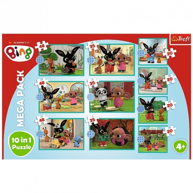 Mega Ensemble de Puzzles Bing 10v1