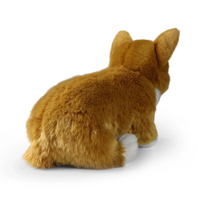 Chien en peluche corgi 32 cm en matériaux écologiques