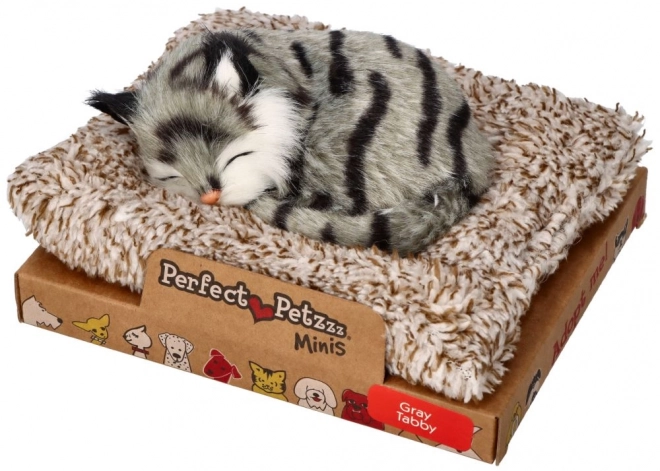 Chaton interactif gris tigré