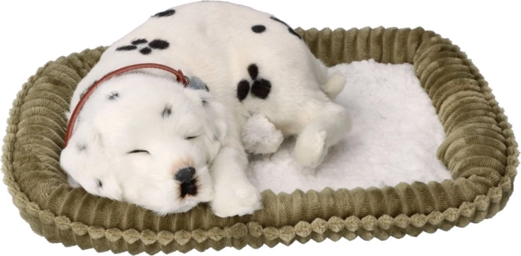 Dalmatien respirant réaliste PERFECT PETZZZ à adopter