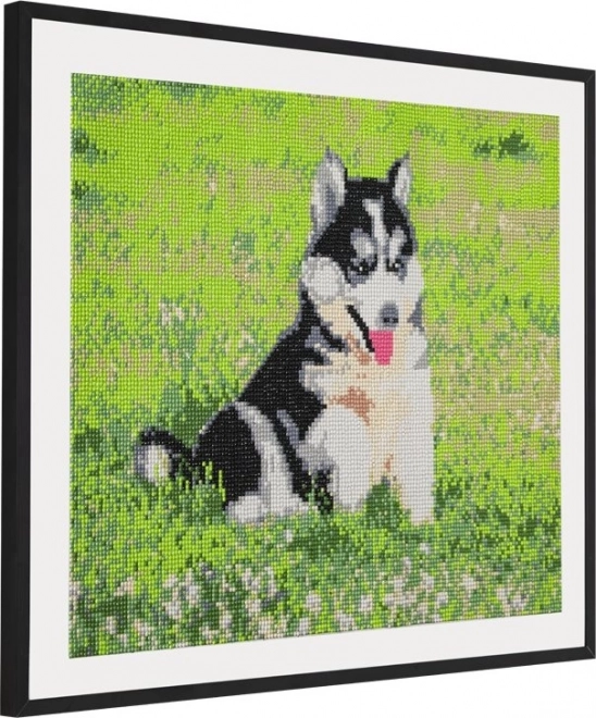 GRAFIX Peinture au diamant Husky 40x50cm
