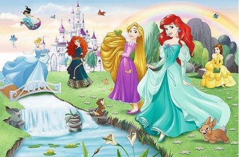 Puzzle Découvrez les princesses 33x22cm 60 pièces dans une boîte 21x14x4cm