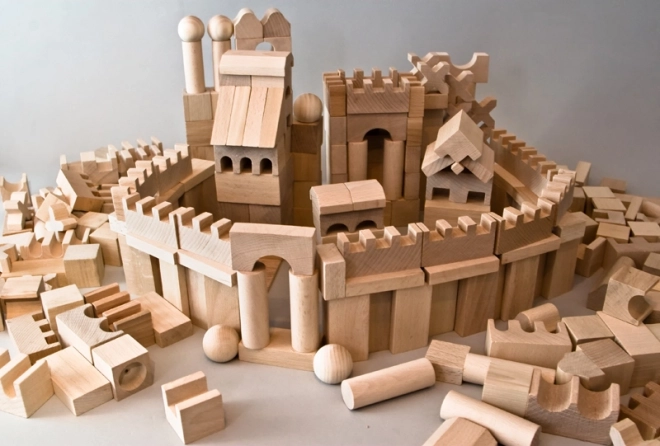 EkoToys Blocs de bois naturels 220 pcs XL