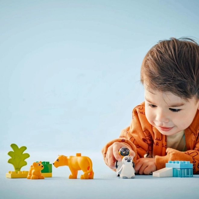 Lego Duplo Familles d'animaux sauvages : Pingouins et lions